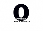 PHOENIX ART FOR HAIR