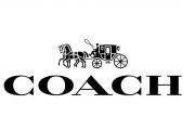 Coach Pure Platinum